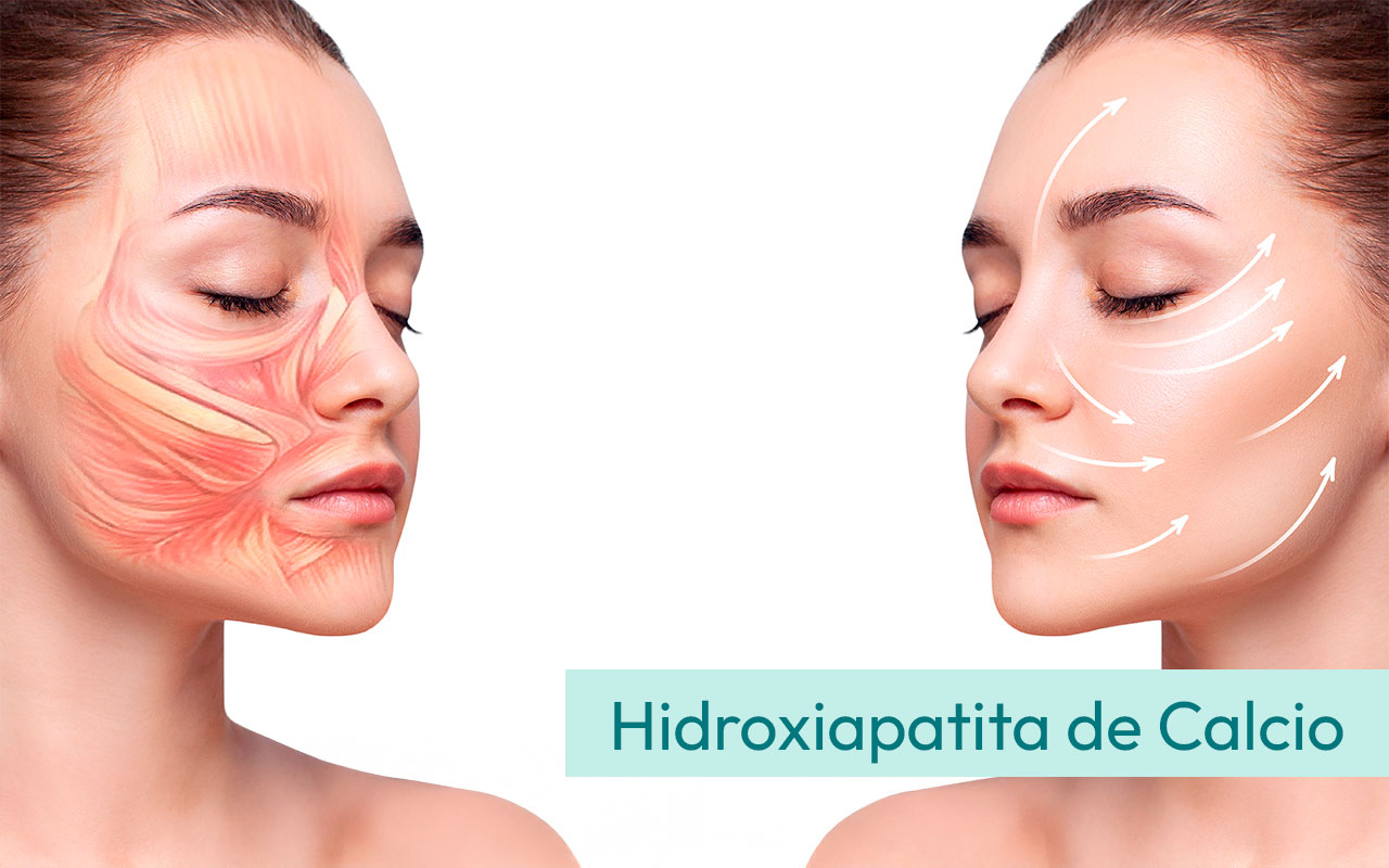 Anatomía del rostro (continuación de repaso)
