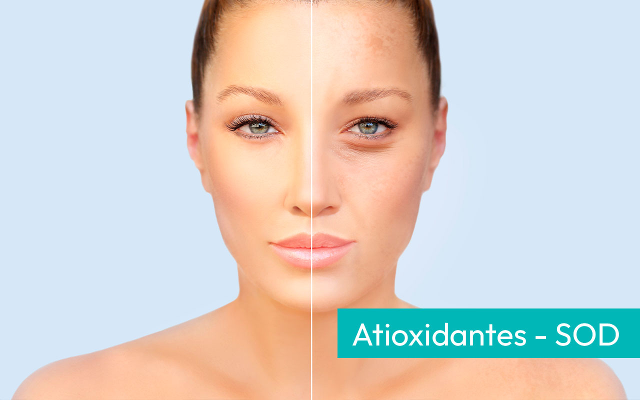 Impacto del estrés oxidativo en patologías dermatológicas