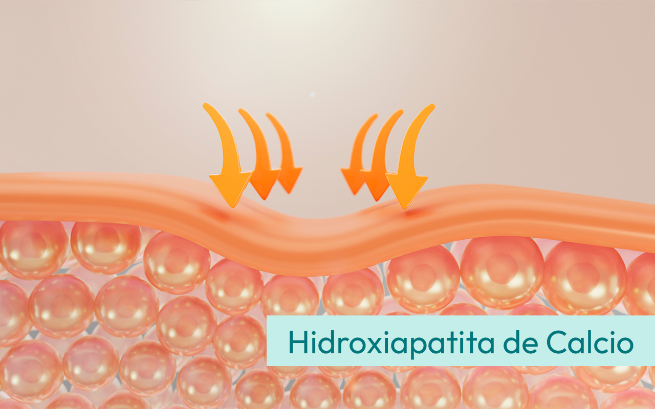 Anatomía del rostro, grasa y capas del rostro